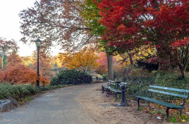 Central Park 'taki Gapstow Köprüsü Sonbaharda sabahın erken saatlerinde