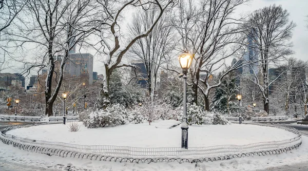 Central Park Invierno Después Tormenta Nieve Por Mañana Temprano —  Fotos de Stock