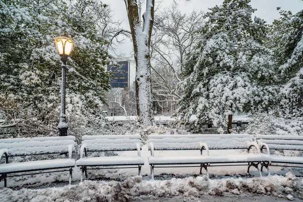 Central Park Invierno Después Tormenta Nieve Por Mañana Temprano —  Fotos de Stock