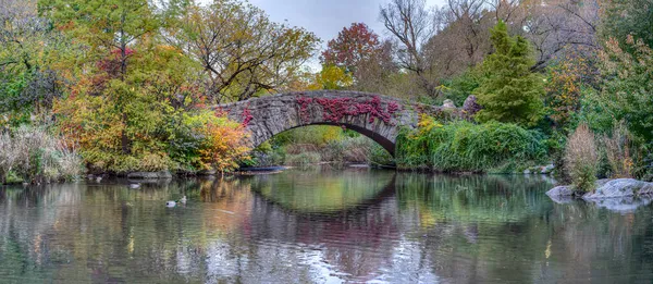 Central Park Taki Gapstow Köprüsü Sonbaharda Sabahın Erken Saatlerinde — Stok fotoğraf