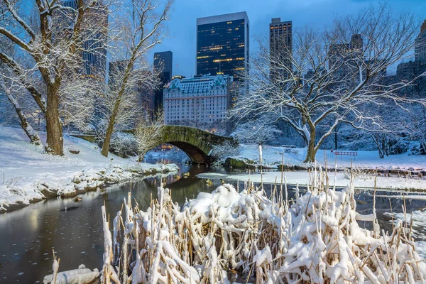 Kışın Kar Fırtınasından Sonra Central Park Taki Gapstow Köprüsü — Stok fotoğraf