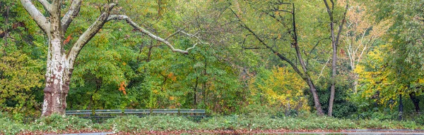 Central Park Nova York Outono — Fotografia de Stock