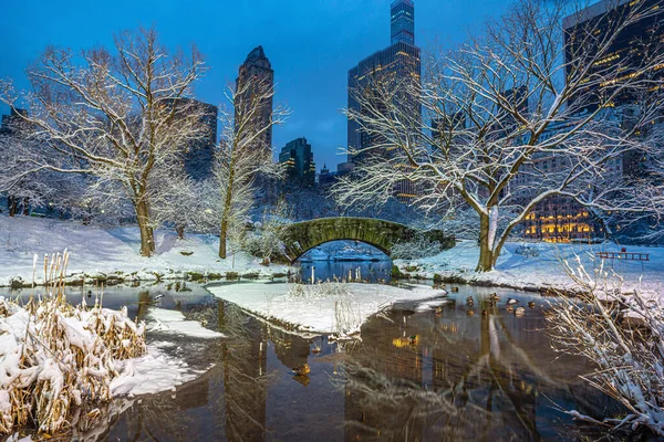 Kışın Kar Fırtınasından Sonra Central Park Taki Gapstow Köprüsü — Stok fotoğraf