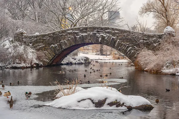 Pont Gapstow Central Park Hiver Après Une Tempête Neige — Photo