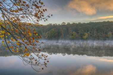 Harriman State Park, Rockland ve Orange ilçelerinde yer alıyor.,