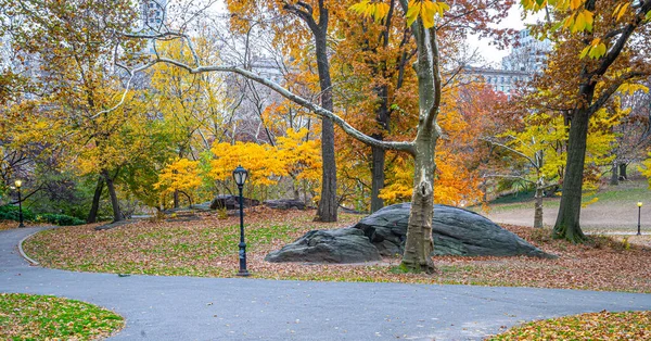 Central Park New York City Het Najaar — Stockfoto