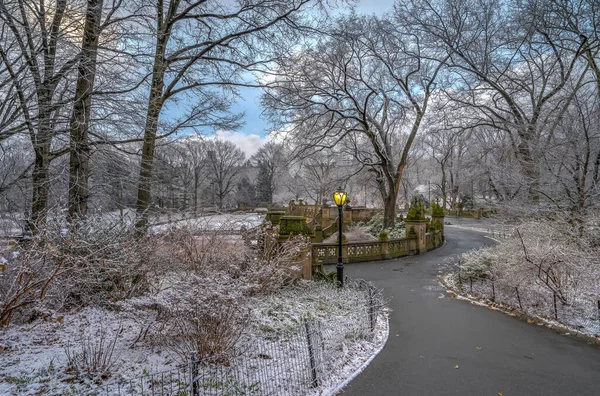 Central Park Inverno Após Tempestade Neve Clima Forte — Fotografia de Stock