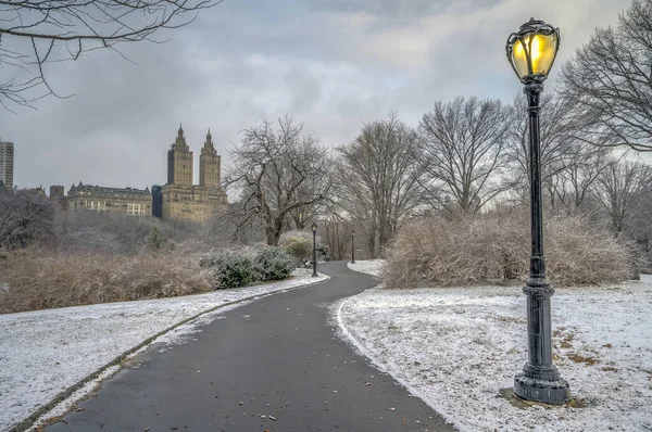 Central Park Winter Sneeuwstorm Sterk Weer — Stockfoto