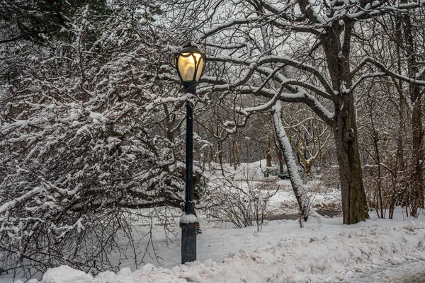 Central Park Inverno Após Tempestade Neve Clima Forte — Fotografia de Stock