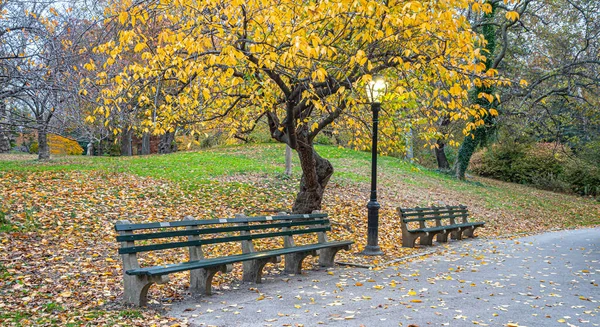 Central Park Nova York Outono — Fotografia de Stock