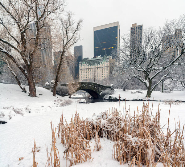 Central Park in winter after snow storm and strong weather