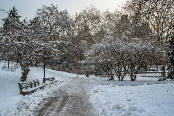 Central Park Vintern Efter Snöstorm Och Starkt Väder — Stockfoto