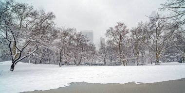Sabahın erken saatlerinde kar fırtınasından sonra Central Park 'ta