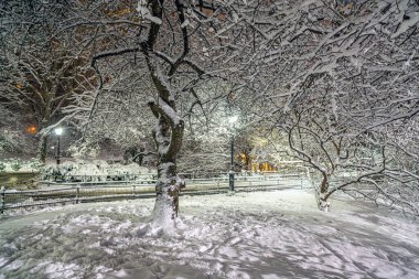 Sabahın erken saatlerinde kar fırtınasından sonra Central Park 'ta