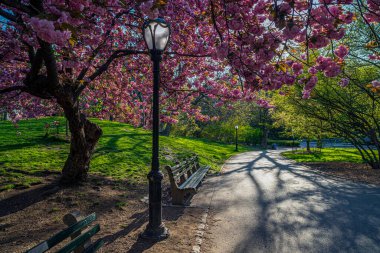 Central Park 'ta bahar, New York