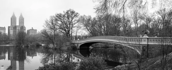 Bugbro Central Park New York City Regnig Morgon Svart Och — Stockfoto