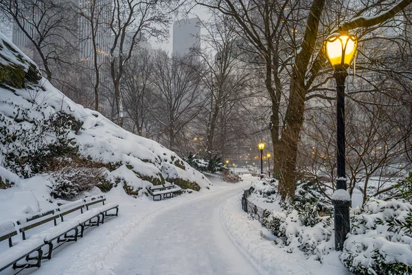 Central Park Vintern Efter Snöstorm Tidigt Morgonen — Stockfoto