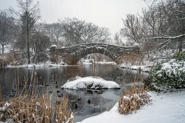 Gapstow Bridge Central Park Sneeuwstorm Vroege Ochtend — Stockfoto