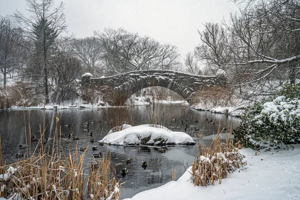 Gapstow Híd Central Parkban Hóvihar Után Kora Reggel — Stock Fotó