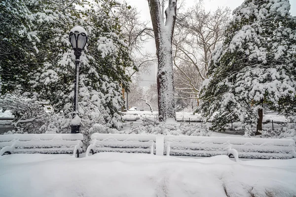 Central Park Inverno Após Tempestade Neve Início Manhã — Fotografia de Stock