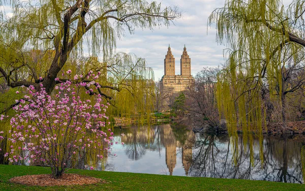 Frühling Central Park New York City — Stockfoto