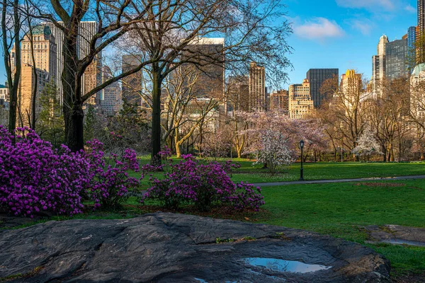 Primavera Central Park New York — Foto Stock