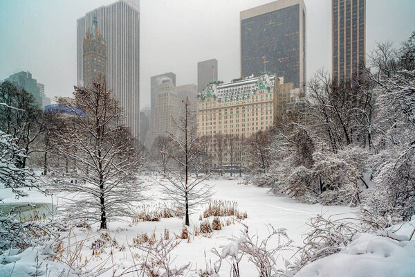 Central Park in winter after snow storm in the early morning