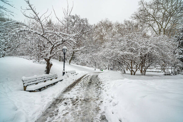 Central Park in winter after heavy snow storm, New York City