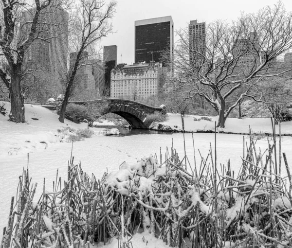 Most Gapstow Central Parku Sněhové Bouři New York City — Stock fotografie
