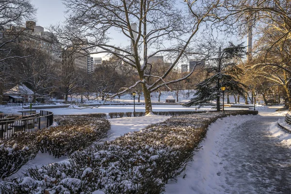 Central Park Winter Zware Sneeuwstorm New York City — Stockfoto
