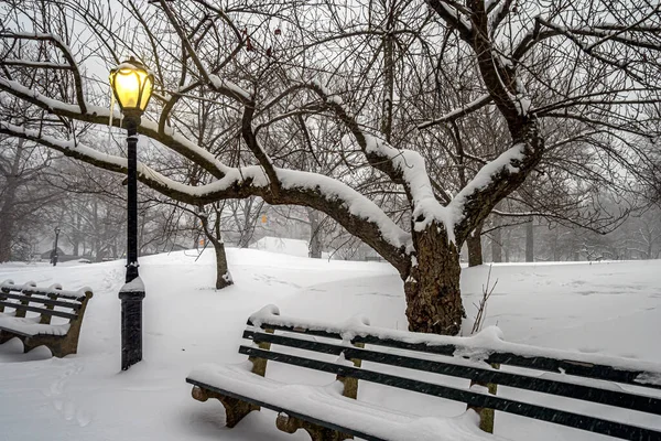 Central Park Invierno Después Una Fuerte Tormenta Nieve Nueva York — Foto de Stock