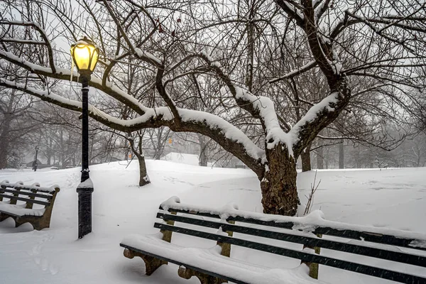 Central Park Inverno Após Forte Tempestade Neve Nova York — Fotografia de Stock