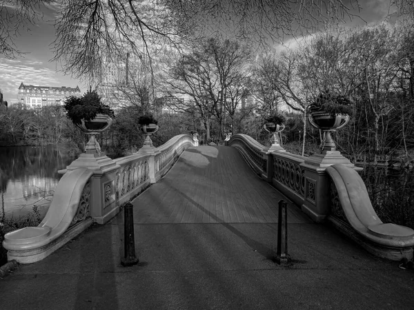 Bågbro Central Park New York City — Stockfoto