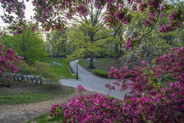 Central Park 'ta bahar, New York