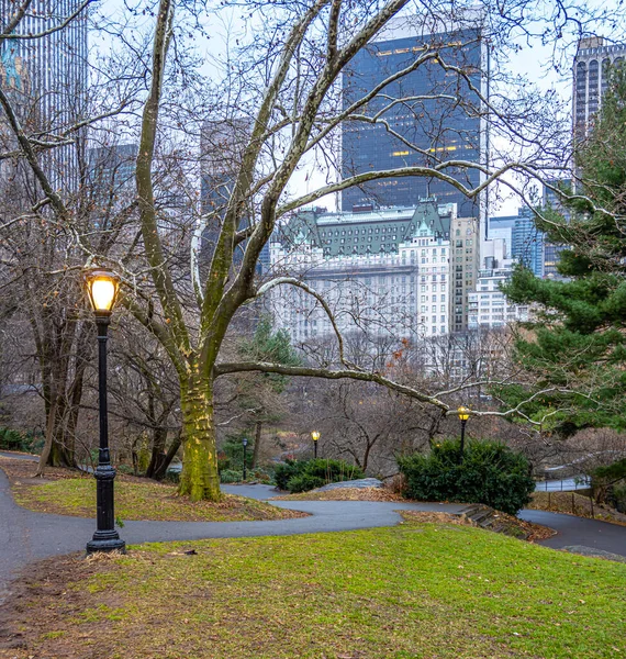 Central Park Winter Plaza Hotel Rainy Day — Foto Stock