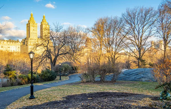 Central Park Winter View Upper East Side — Stock Photo, Image