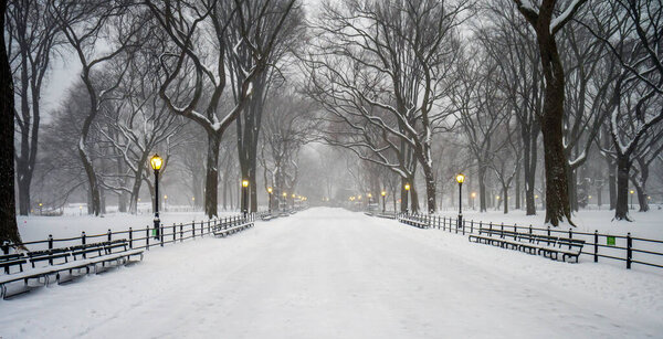 The Mall in Central Park, New York City after snow storm