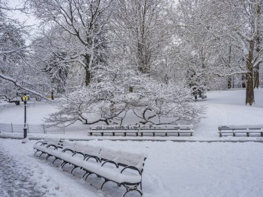Central Park 'ta kar fırtınasından sonra, New York City