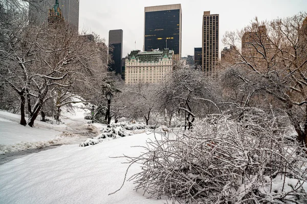 Central Park Invierno Después Tormenta Nieve Nueva York —  Fotos de Stock