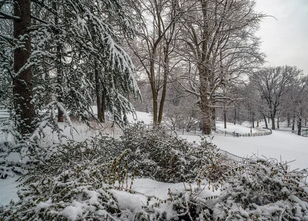Central Park Inverno Após Tempestade Neve Nova York — Fotografia de Stock