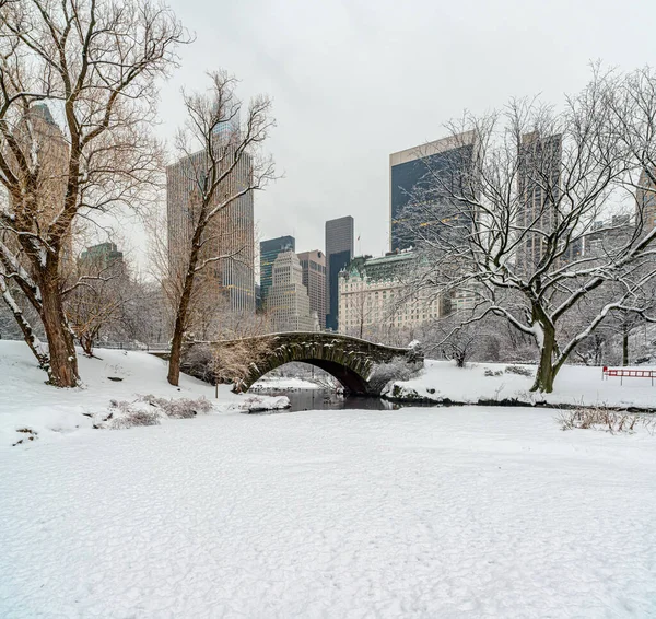 Gapstow Bridge Central Park Sneeuwstorm New York City — Stockfoto