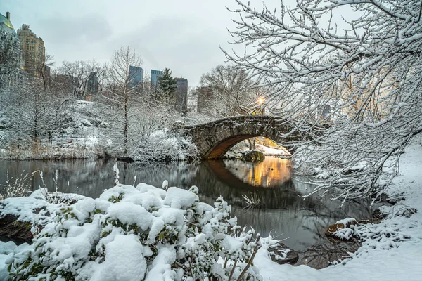 Ponte Gapstow Central Park Após Tempestade Neve Nova York — Fotografia de Stock