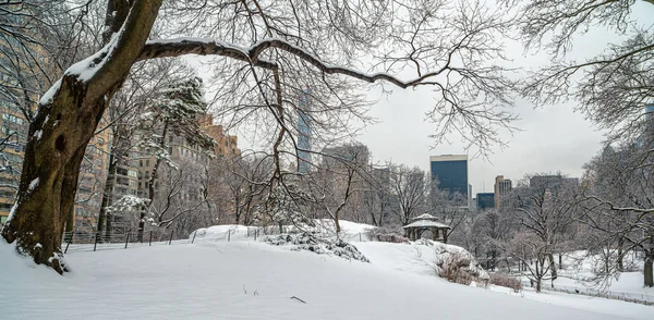 Central Park Invierno Después Tormenta Nieve Nueva York —  Fotos de Stock