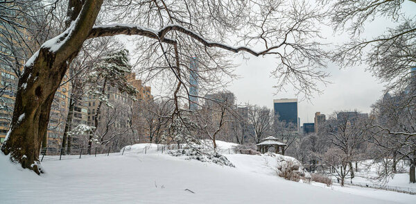 Central Park in winter after snow storm, New York City