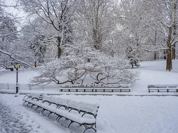 Central Park Inverno Após Tempestade Neve Nova York — Fotografia de Stock