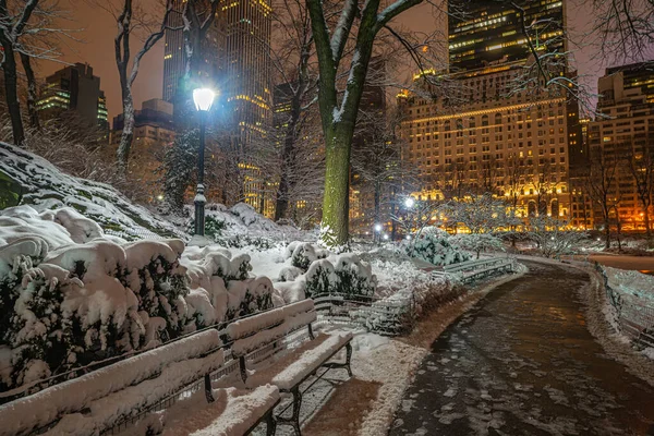 Central Park Vinter Natten — Stockfoto