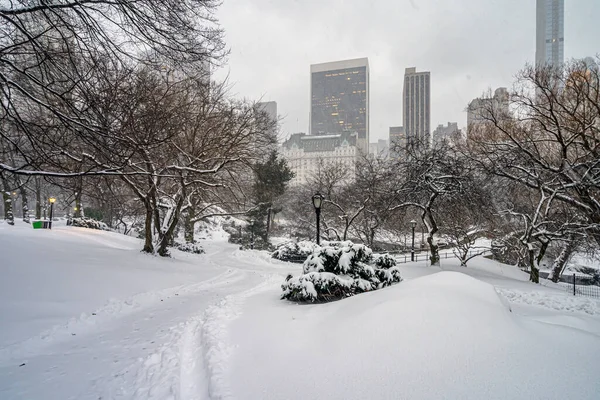 Central Park Invierno Después Tormenta Nieve Nueva York —  Fotos de Stock