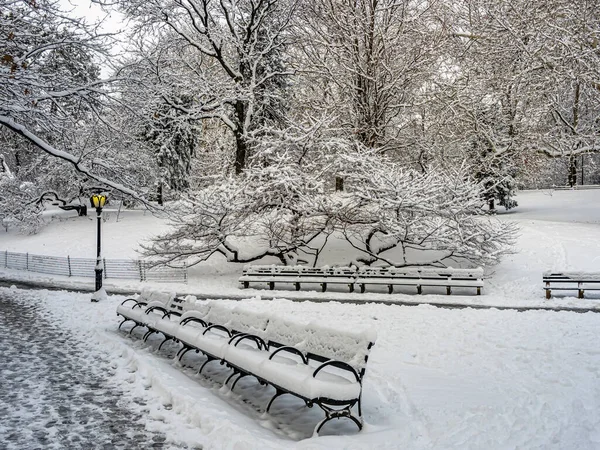 Central Park Inverno Após Tempestade Neve Nova York — Fotografia de Stock
