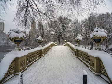 Pruva köprüsü, Central Park, New York. Kar fırtınasından sonra.