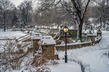Bethesda Terrace ve Fountain, New York 'un Central Park' ındaki göle bakan iki mimari özelliktir..